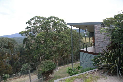 Woollybutt - Accommodation Redcliffe 3