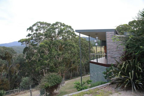 Woollybutt - Accommodation Redcliffe 0
