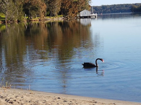 Wyreepi River Cottage - Accommodation Redcliffe 3
