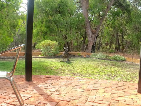 Yallingup Pet Friendly Bush Retreat - Accommodation Redcliffe 3