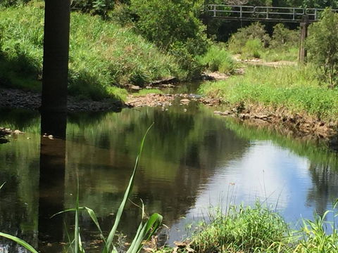 Yandina Caravan Park - Accommodation Redcliffe 2