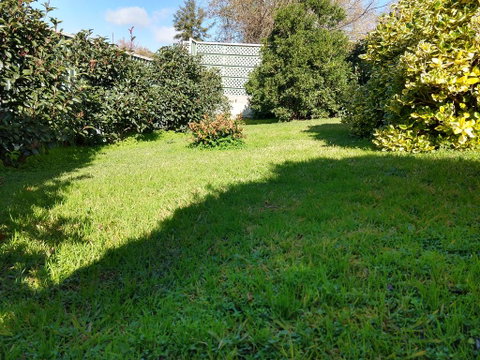 Young Goldrush Motel - Accommodation Redcliffe 2