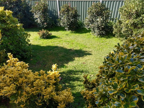 Young Goldrush Motel - Accommodation Redcliffe 3