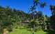 A Daintree Garden - thumb 0