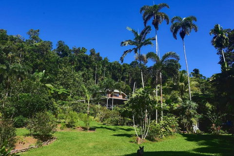 A Daintree Garden - Accommodation Redcliffe 0