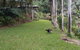 A Daintree Garden - thumb 1