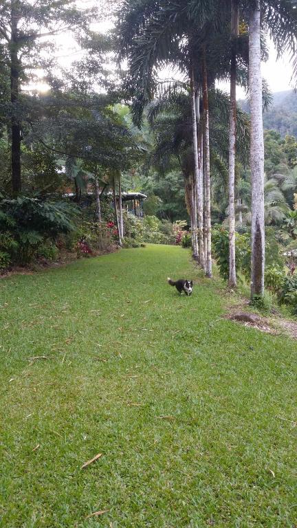 A Daintree Garden - Accommodation Redcliffe 1