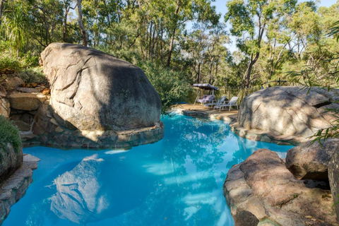 A Paradise For Dogs And A Magical Retreat For Hoomans - Accommodation Redcliffe 0