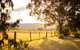 Among The Vines - thumb 2