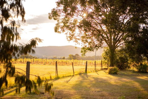 Among The Vines - Accommodation Redcliffe 2