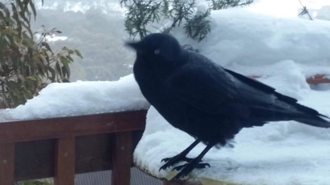 Aneeki Ski Lodge - Accommodation Redcliffe 1