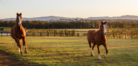 Argentille Boutique Accommodation - Accommodation Redcliffe 1