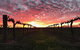 Barossa House - thumb 3