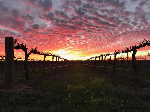 Barossa House - Accommodation Redcliffe 3
