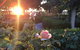Barossa House - thumb 1