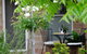Bartletts Corner - Private Peaceful Studio - thumb 0