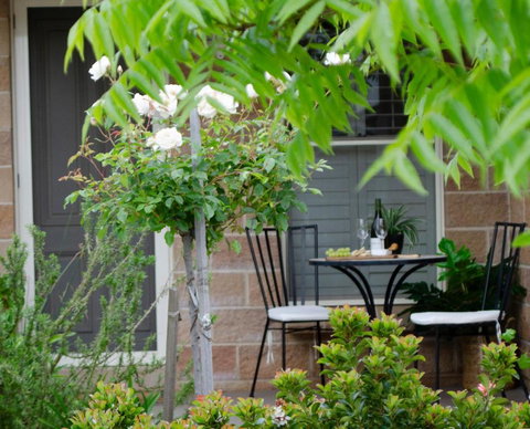 Bartletts Corner - Private Peaceful Studio - Accommodation Redcliffe 0