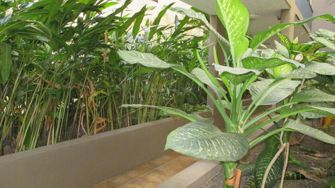 Edge Apartments Cairns - Accommodation Redcliffe 39