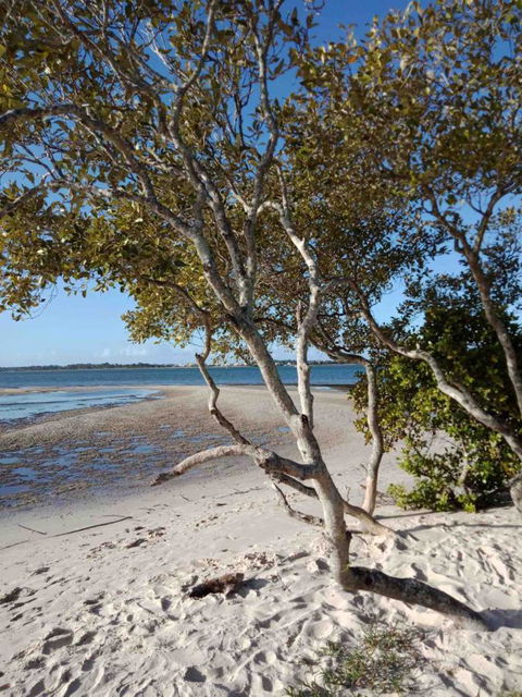 Modern Beach Villa - Accommodation Redcliffe 15