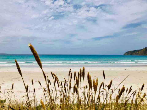 Modern Beach Villa - Accommodation Redcliffe 14