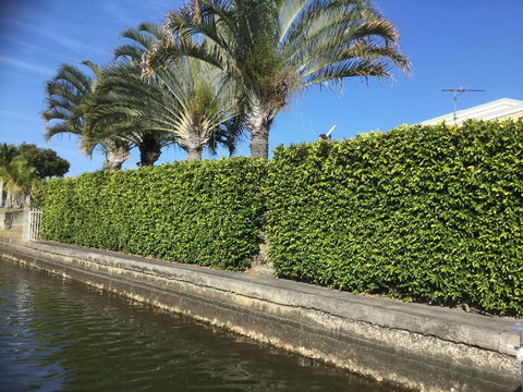 Private Canal Duplex With Pontoon - Oleander Drive, Bongaree - Accommodation Redcliffe 8