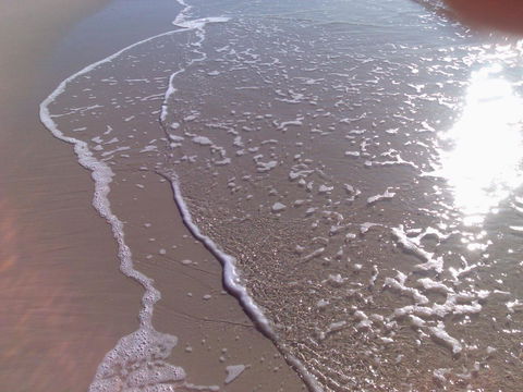 Close To Surf Beach, Surf Club, Hotel And Shops - Boyd St, Woorim - Accommodation Redcliffe 10