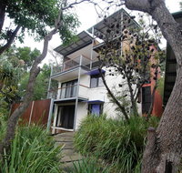 Shell Seeker - Accommodation Redcliffe