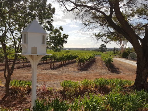 'In The Vines' Guest Cottage, Barossa Valley - Accommodation Redcliffe 0