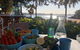 1 Bedroom Sydney Beach Studio - thumb 1