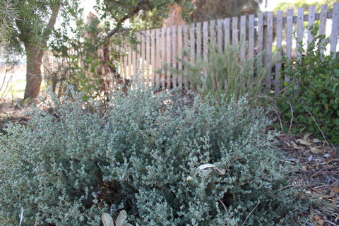 12 Apostles Cottages - Accommodation Redcliffe 2