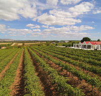 1837 Barossa Luxury Vineyard Cottages - Accommodation Redcliffe