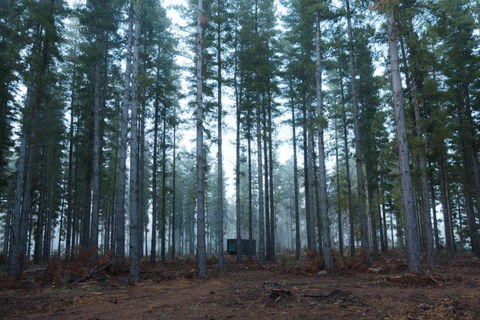 CABN Kuitpo Forest - Accommodation Redcliffe 2