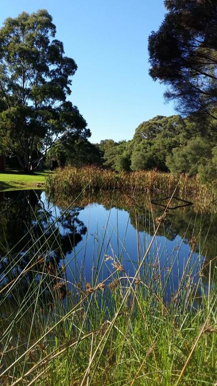 Crystal Springs Holiday Accommodation - Accommodation Redcliffe 0
