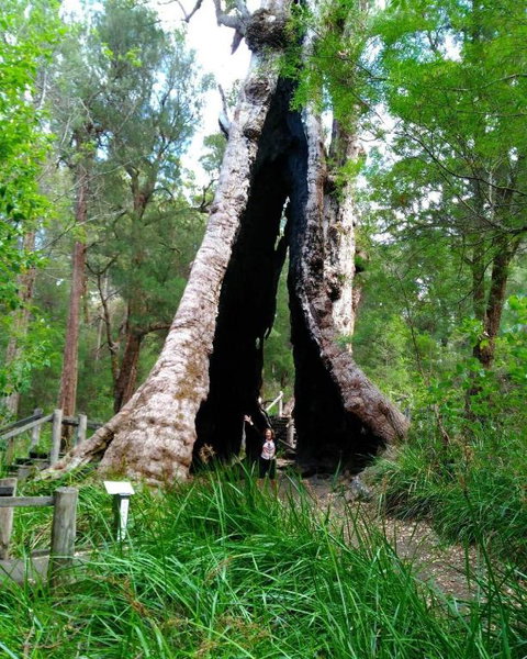 Crystal Springs Holiday Accommodation - Accommodation Redcliffe 3