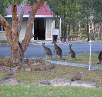 31 The Rocks - Accommodation Redcliffe