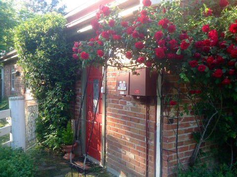 A Country Barn Retreat - Accommodation Redcliffe 2