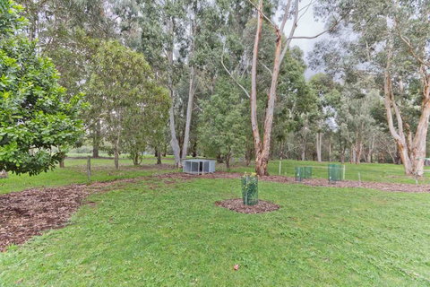 A Grape Escape - Accommodation Redcliffe 3