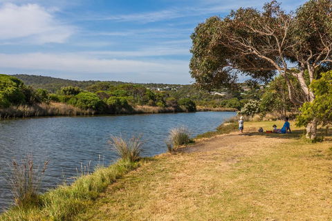 A River Bed Cottage - Accommodation Redcliffe 3