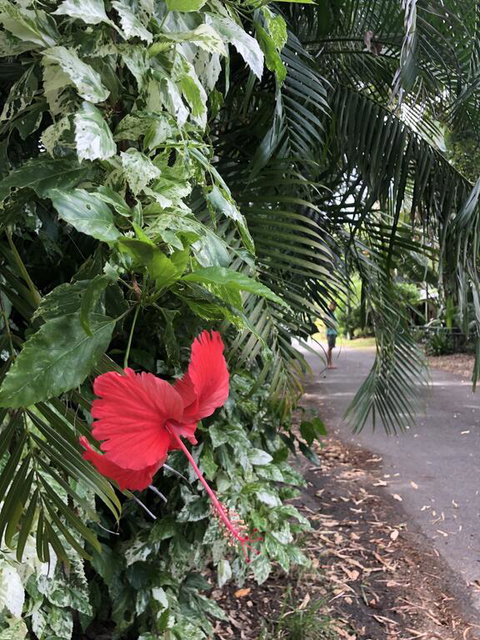 Absolute Beach Frontage, Family Friendly, Home Away From Home - Accommodation Redcliffe 1