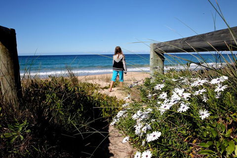 Absolute Beachfront Mollymook - Accommodation Redcliffe 3