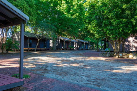 Dorrigo Mountain Holiday Park - Accommodation Redcliffe 2