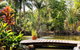 Eclectic Oasis In Doonan, Sunshine Coast - thumb 3