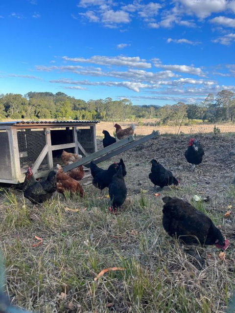 Eco Friendly Cottage At Simple Patch Farm Wingham - Accommodation Redcliffe 3