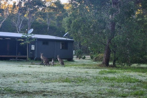 EcoRetreat 1770 - Accommodation Redcliffe 4