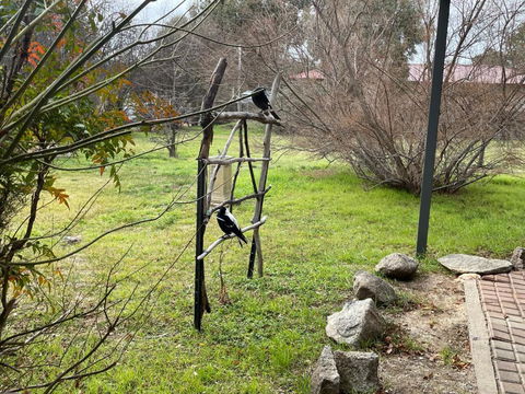 Florence Lodge - Accommodation Redcliffe 4