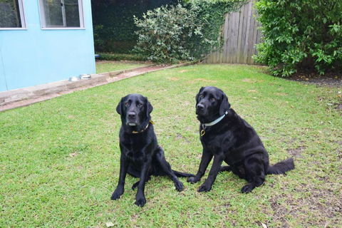 GERR14C - Salty Dog - Accommodation Redcliffe 3