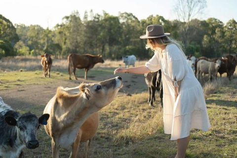 Golden Hill Farmstay By Tiny Away - Accommodation Redcliffe 4