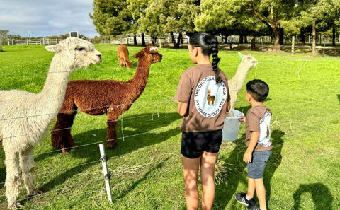 GORGE Chocolates Farmhouse - Accommodation Redcliffe 4