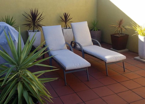 High On Penguin - Accommodation Redcliffe 1