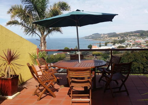 High On Penguin - Accommodation Redcliffe 0